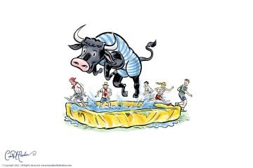 Splashing Bull in bathing suit - Toro Piscine