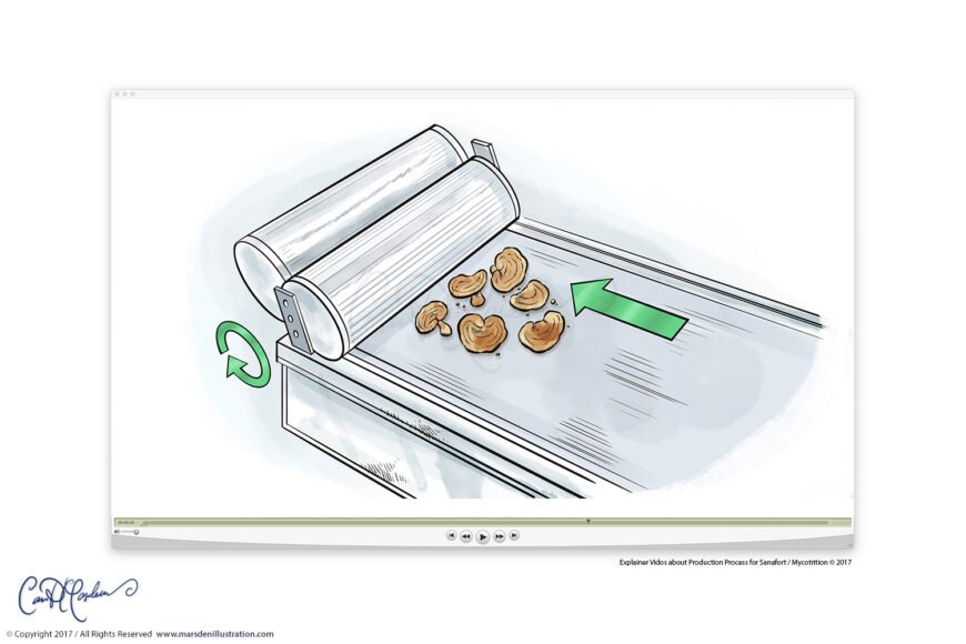 Conveyor system processing cashew nuts with rotating cylindrical rollers and directional arrows.