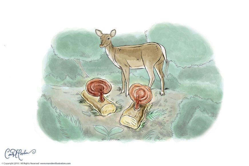 Deer in a forest with large mushrooms on logs, surrounded by green foliage.