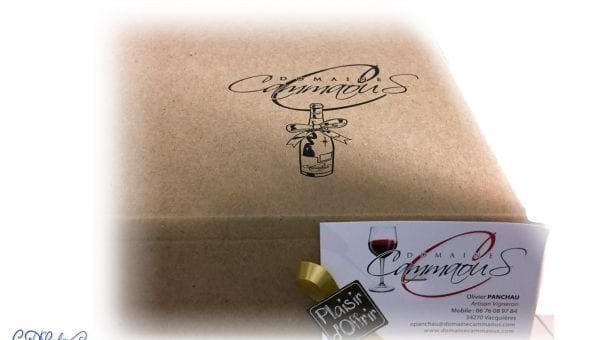 Cardboard box with Domaine Cammaous logo, Olivier Panchau contact card, and "Plaisir d’Offrir" tag.