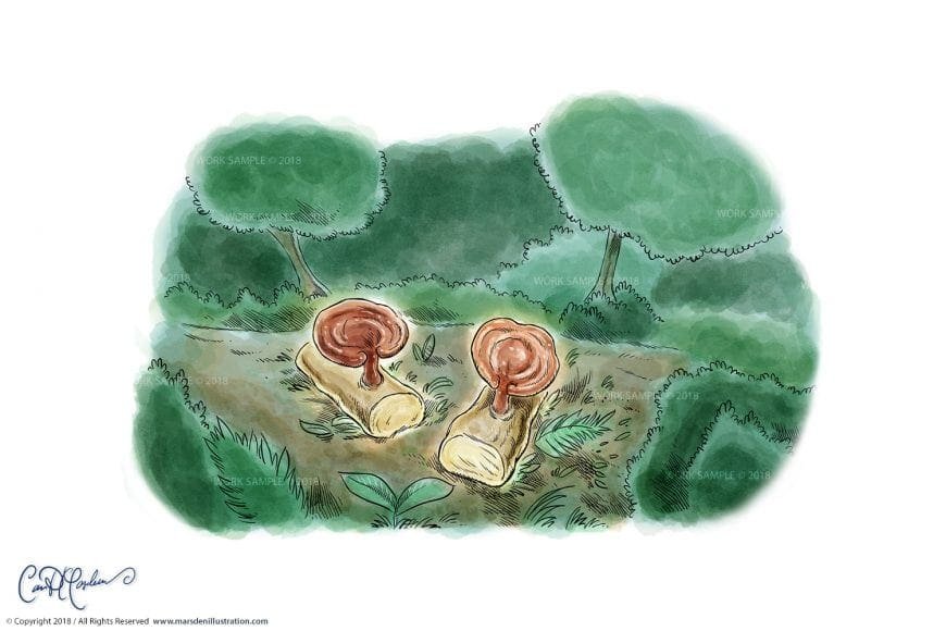 Illustration of a forest scene with mushrooms on cut logs, surrounded by foliage and trees.