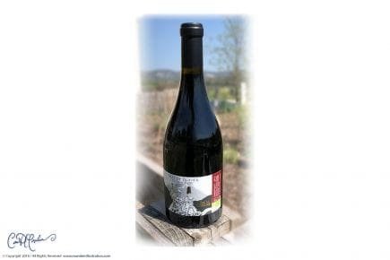 Wine bottle with illustrated label on wooden surface, blurred outdoor background.