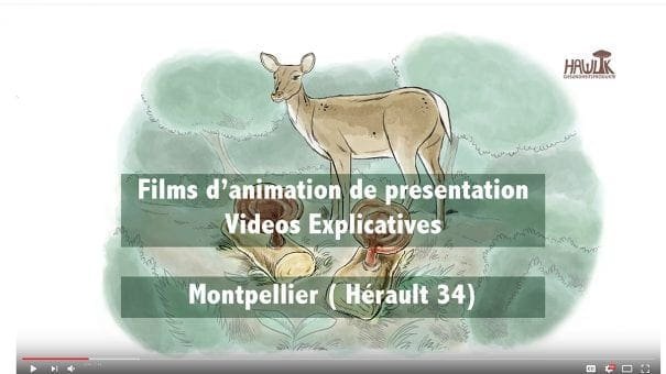 YouTube screenshot with deer illustration, text on animations and Montpellier, Hérault, France.