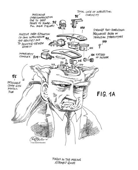 Absurdist diagram of a man’s head filled with pulleys, labels, and ideas gone spectacularly wrong.