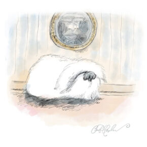 Fluffy white dog on floor with framed man portrait above, wallpaper background.