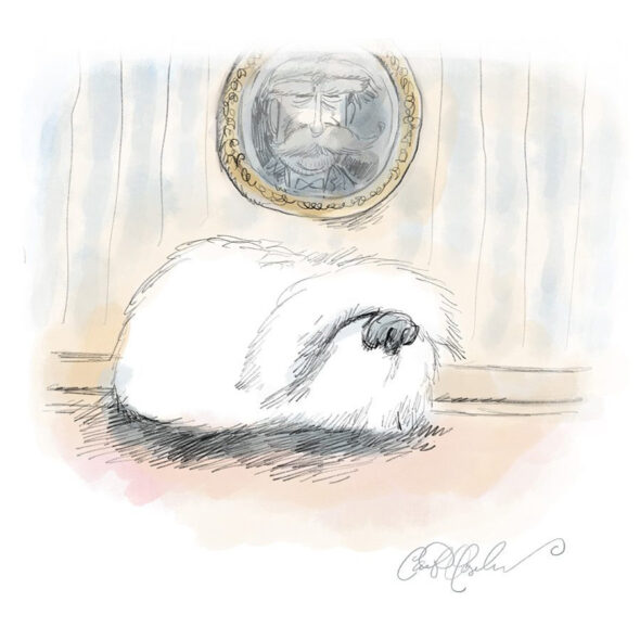 Fluffy white dog on floor with framed man portrait above, wallpaper background.