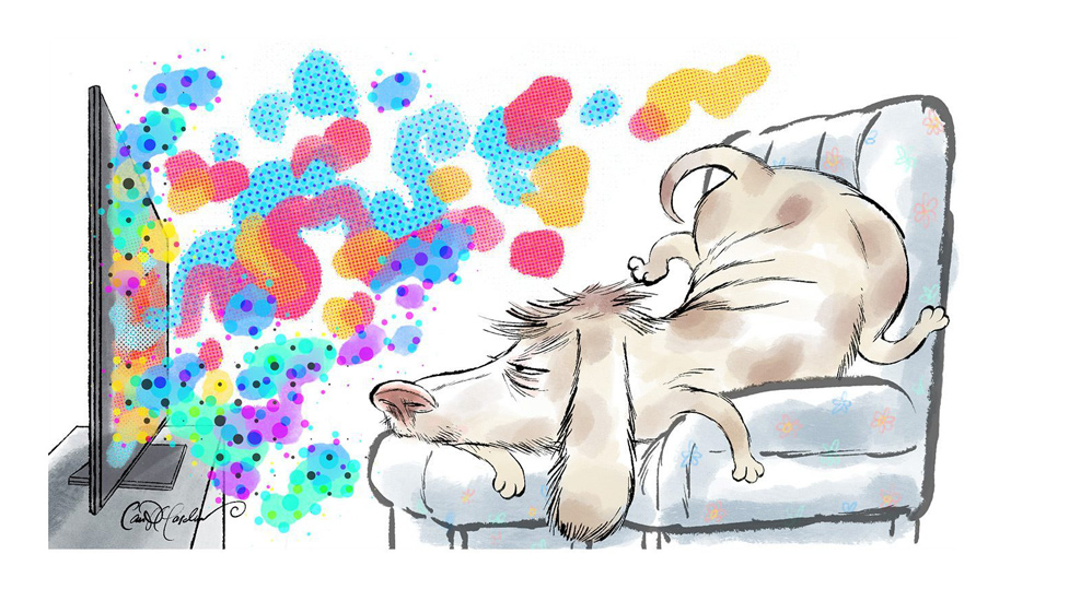 Dog lying on chair watching colorful abstract television stream