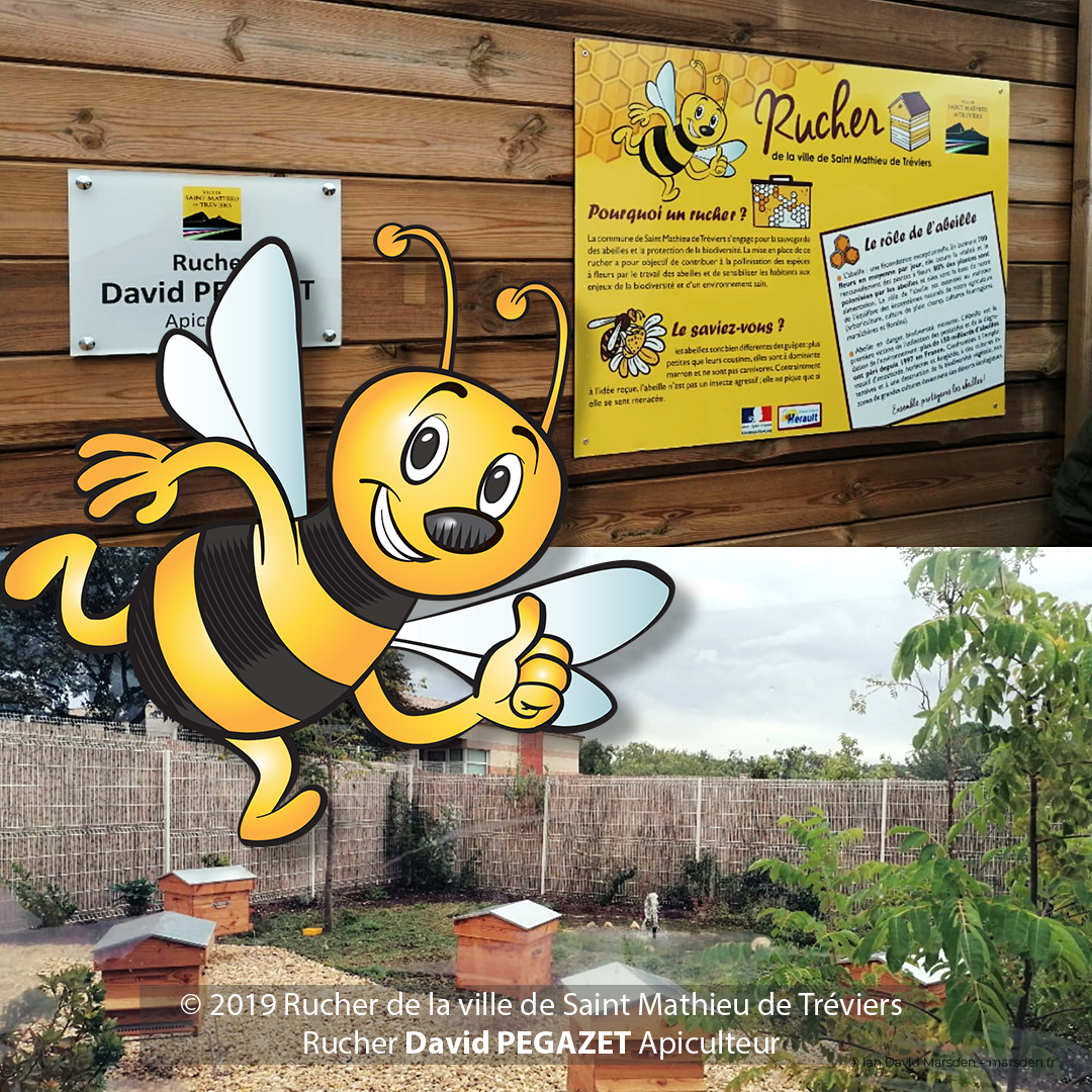 Bee mascot design on educational apiary panel in Saint-Mathieu-de-Tréviers