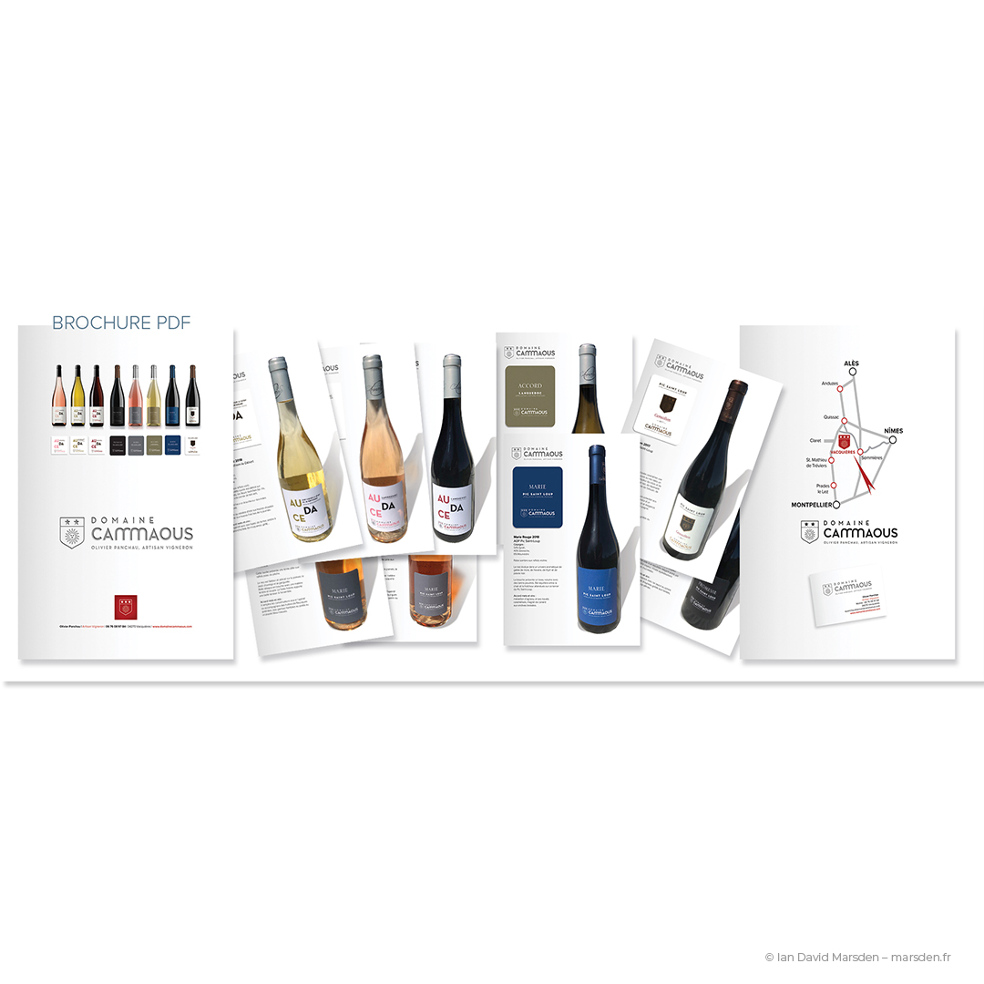 Domaine Cammaous branding design flyers and website