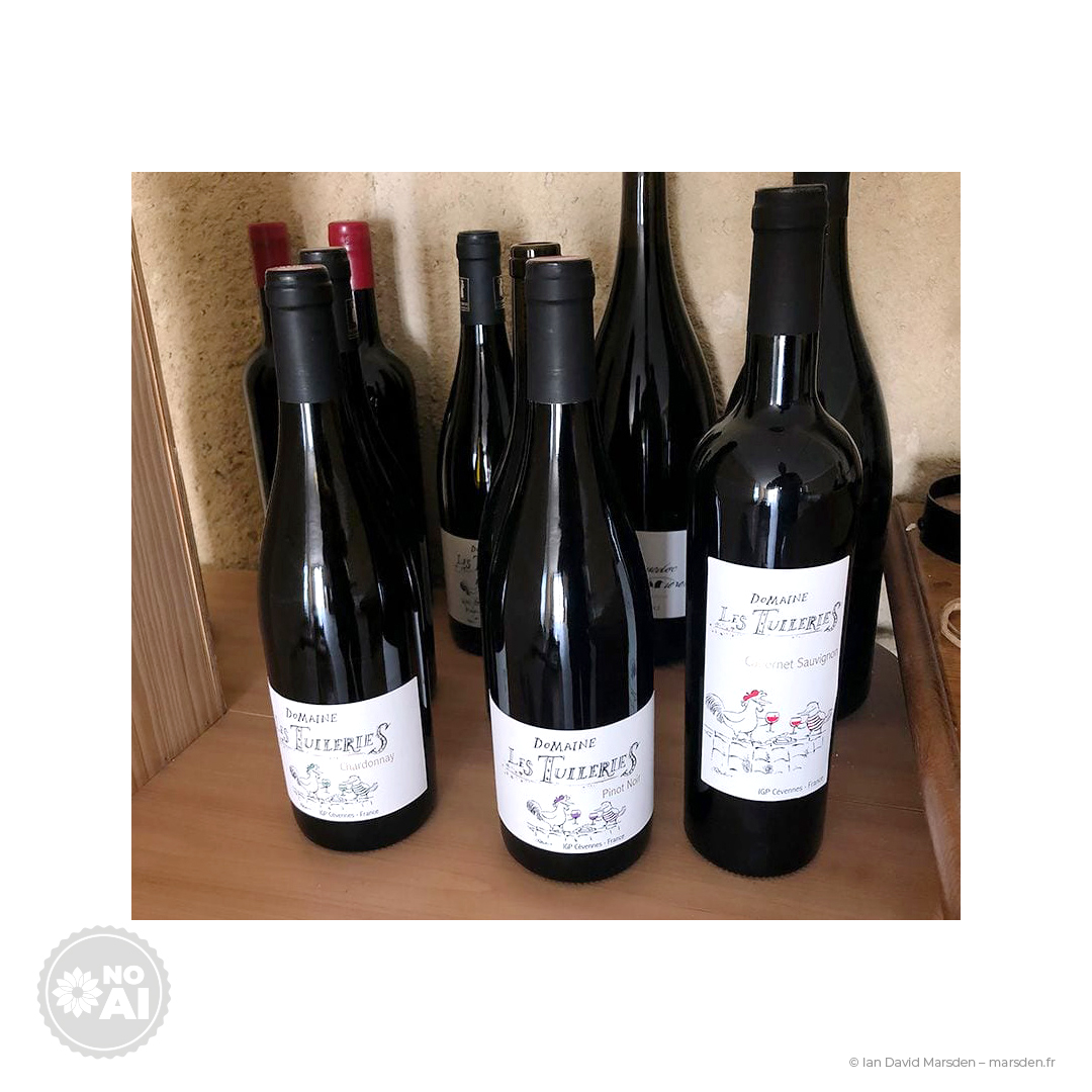 Cabernet Sauvignon bottles with wine label Domaine Les Tuileries