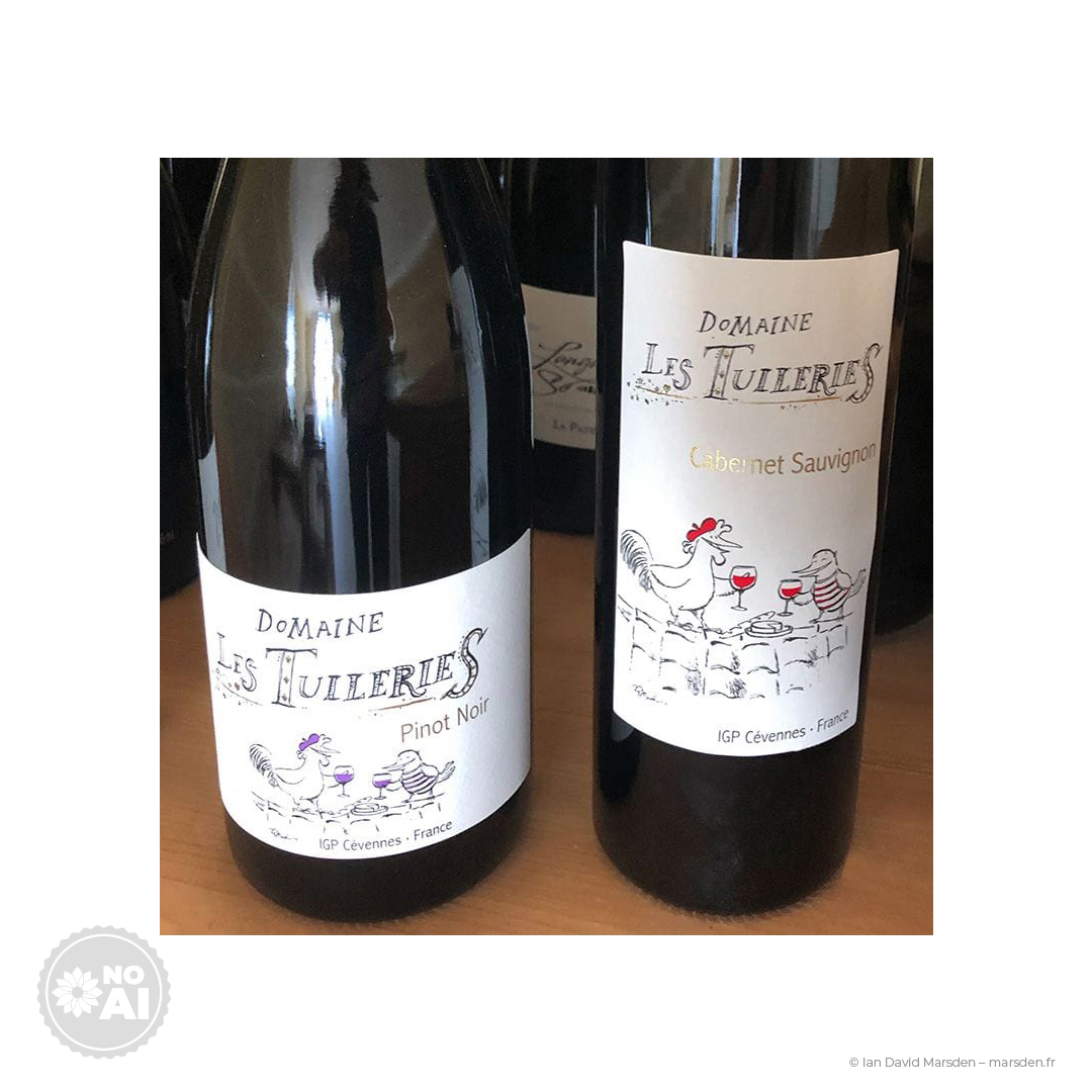 wine label closeup Domaine Les Tuileries cabernet