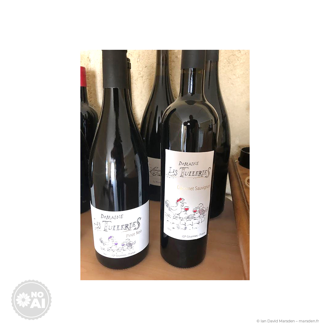 lineup Domaine Les Tuileries wine bottles