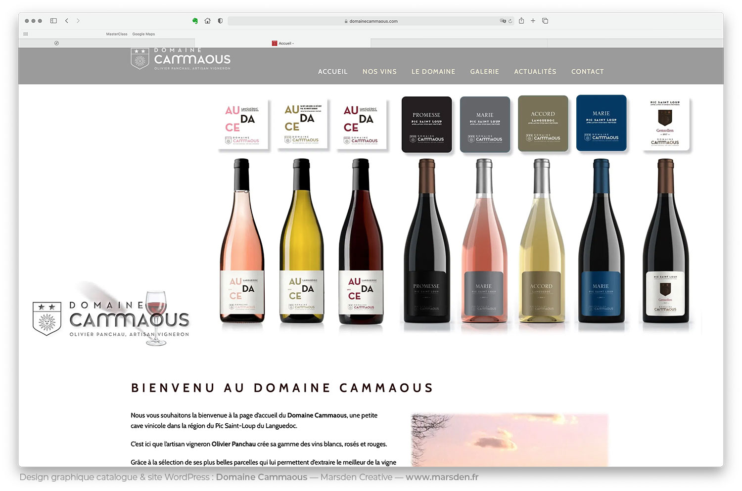 Photo des bouteilles Domaine Cammaous sur fond blanc, intégrée au site vitrine WordPress.