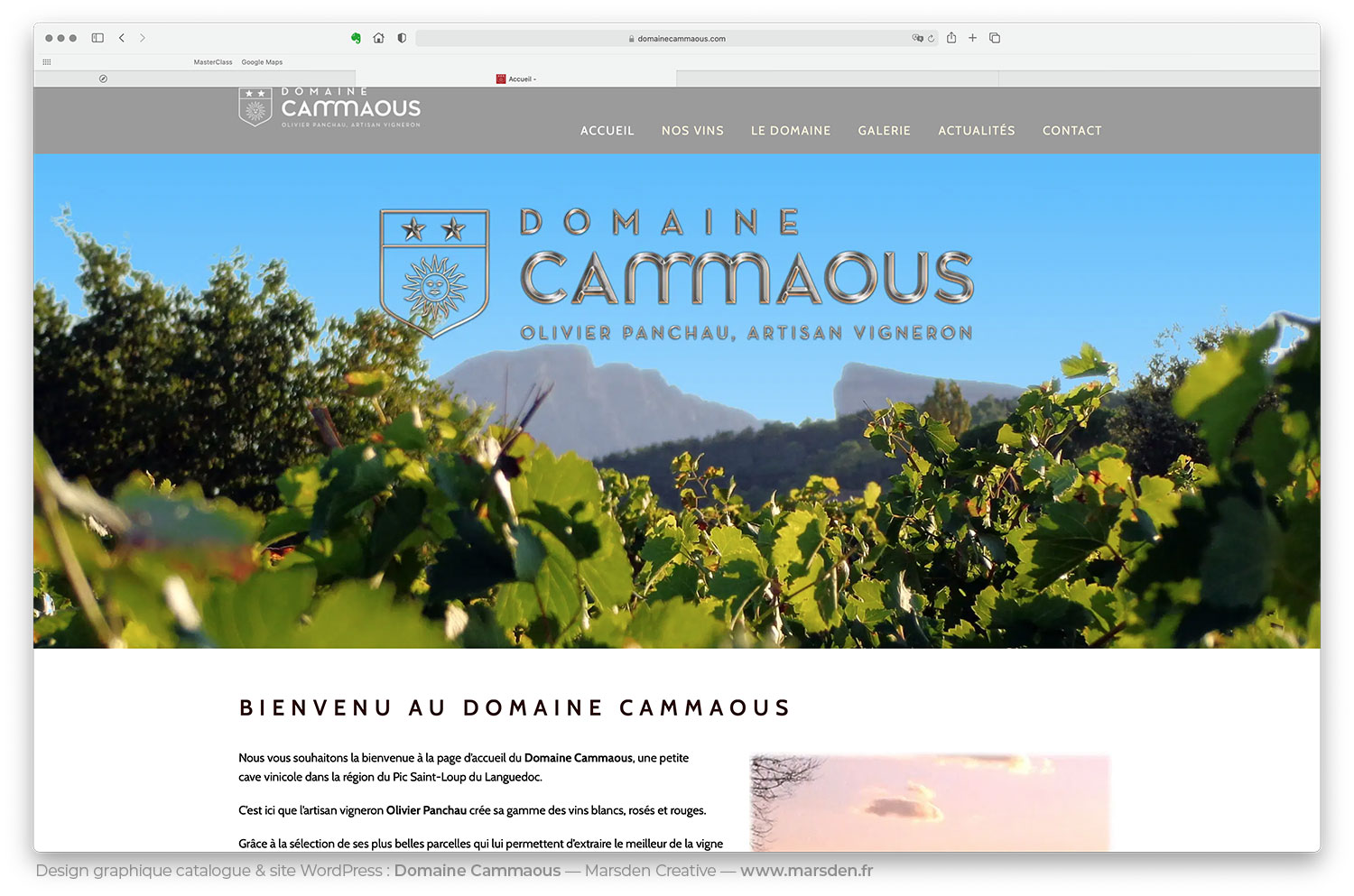 Page d’accueil du site Domaine Cammaous avec photo de vignes et logo WordPress en haut de page.