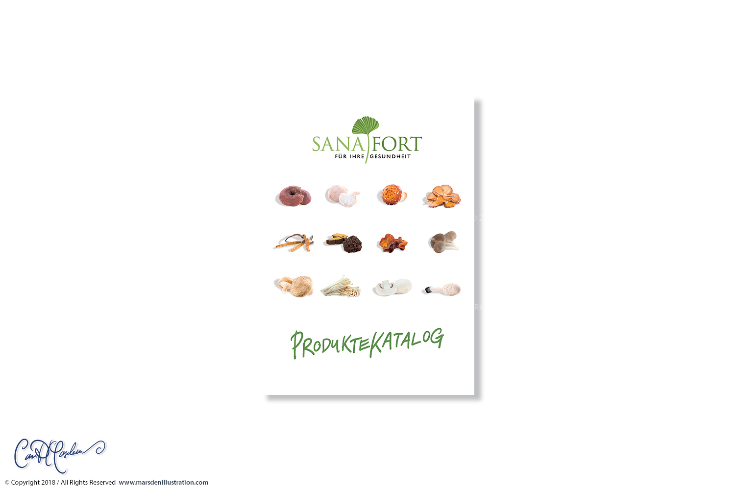 Minimal Sanafort product catalog cover designed by Ian David Marsden, featuring the Sanafort logo, retouched medicinal mushroom ingredient images and the German title Produkte-Katalog.